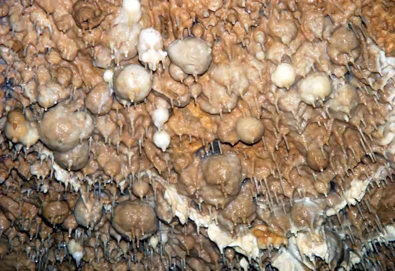 Sloupsko-šošůvské jeskyně - Vosí báně