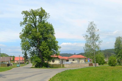 Sloup - lípa u Hřebenáče