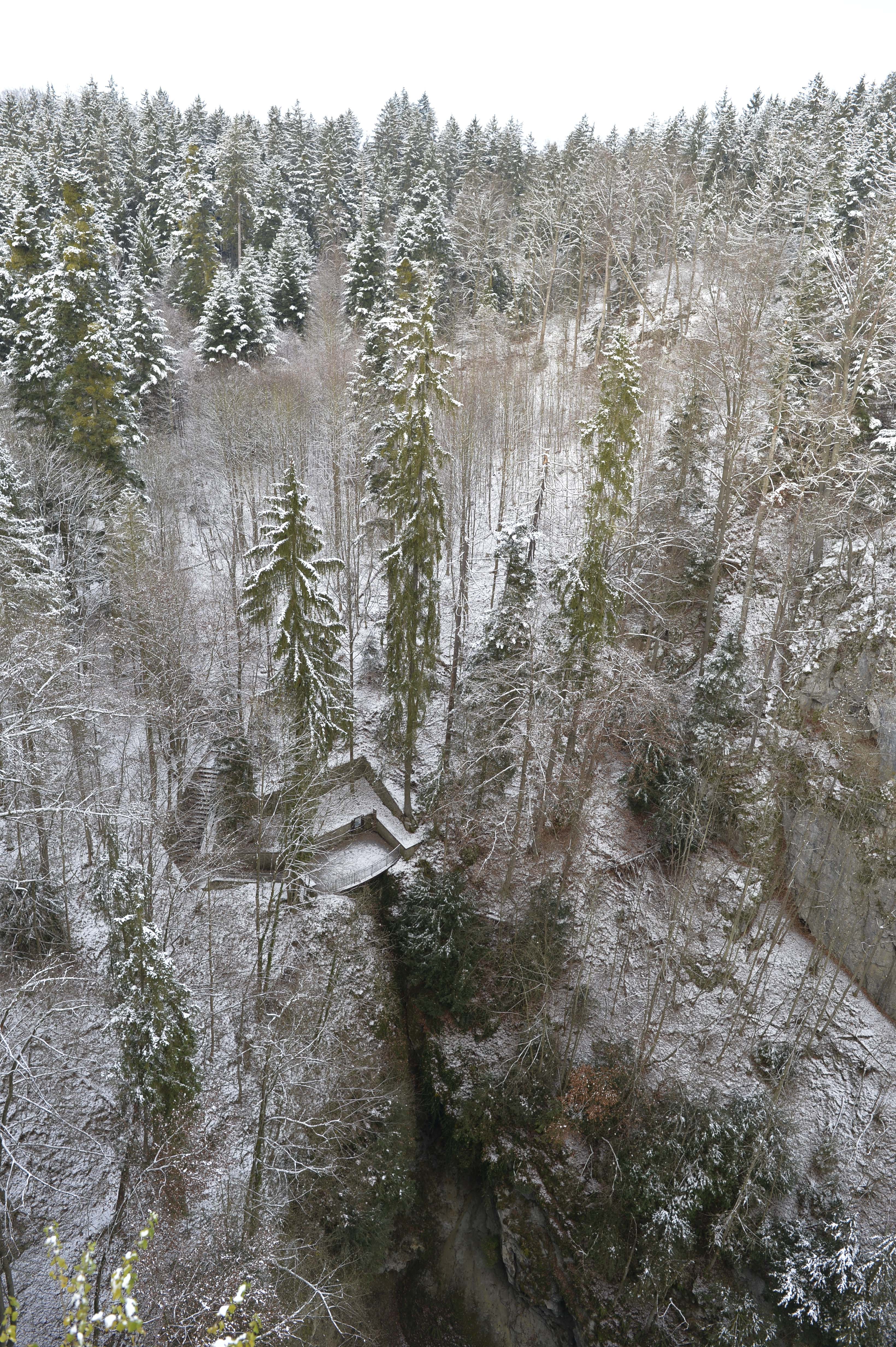 Macocha - dolní můstek (foto Olga Suldovská, 30. 11. 2023)