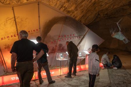 27. Mezinárodní noc pro netopýry, Sloup v Moravském krasu