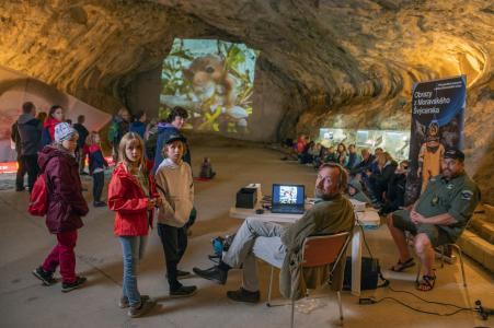 27. Mezinárodní noc pro netopýry, Sloup v Moravském krasu